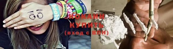 дурь Лабытнанги