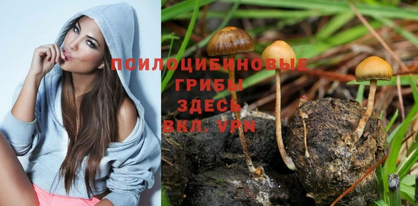 2c-b Лагань