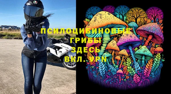 спайс Ладушкин