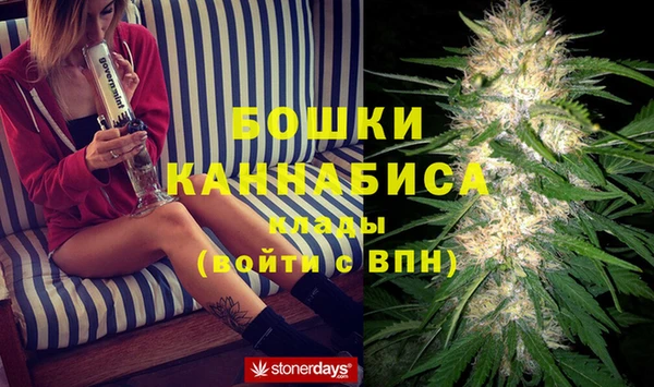 спайс Ладушкин