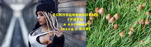 спайс Ладушкин