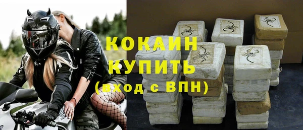 спайс Ладушкин