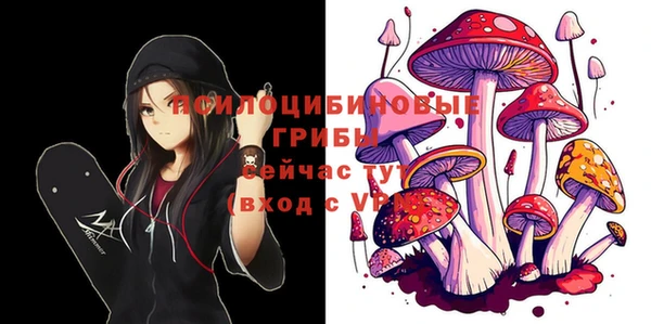 дурь Лабытнанги