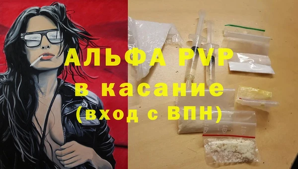 спайс Ладушкин